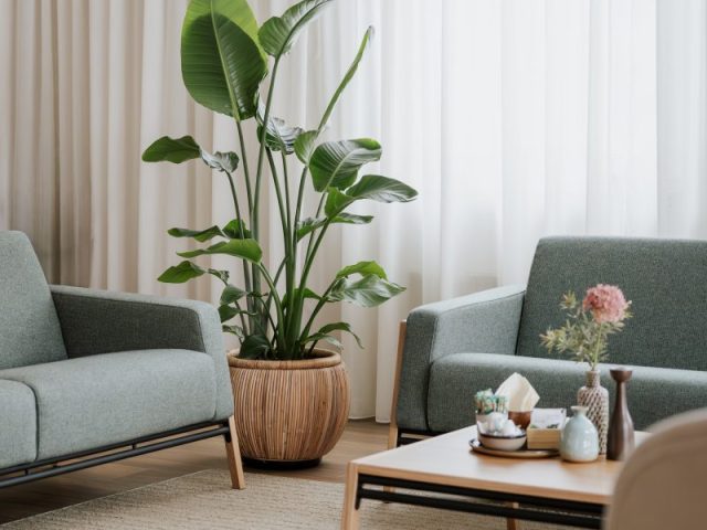 CrematoriumDierenlocatiefoto's-ByKimBoekhoven-44